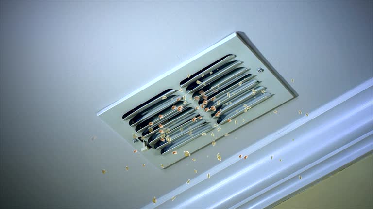Professional Airduct Cleaning in Phelan, CA